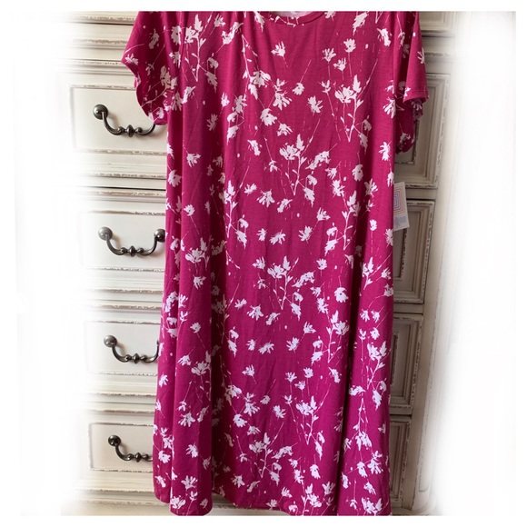 LuLaRoe Dresses & Skirts - LuLaRoe 2XL Jessie